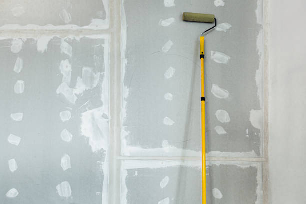 Best Mold-Related Health Consultation  in Belcourt, ND