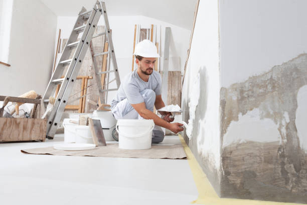 Best Black Mold Removal  in Belcourt, ND