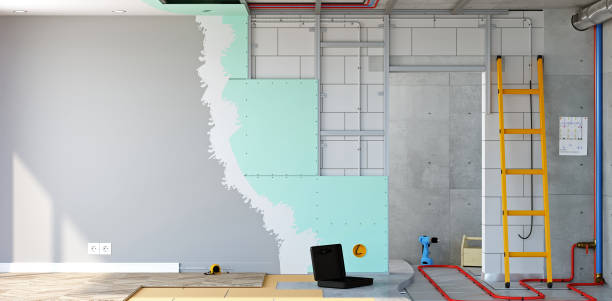 Best Emergency Mold Remediation  in Belcourt, ND