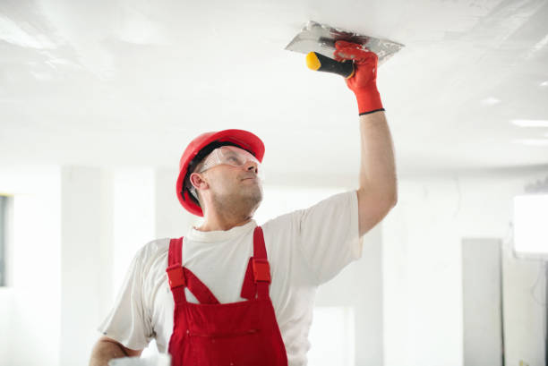 Belcourt, ND Mold Removal Company
