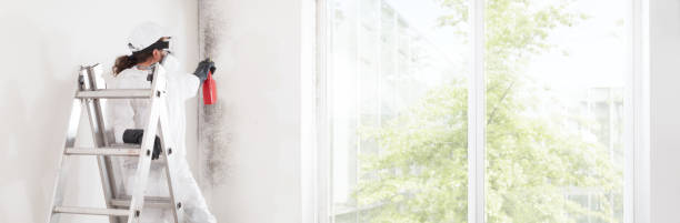 Best Residential Mold Inspection & Testing  in Belcourt, ND