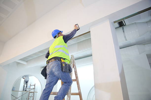 Best Emergency Mold Remediation  in Belcourt, ND